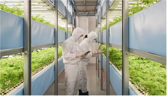 Smart Farm
